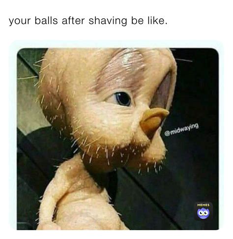 ball shaving meme